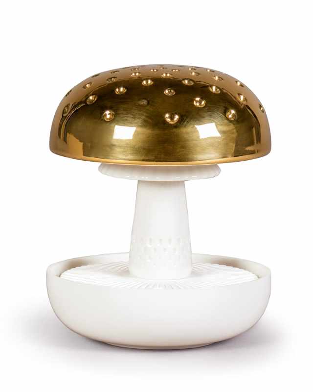 Boletus 1 On The Prairie Diffuser